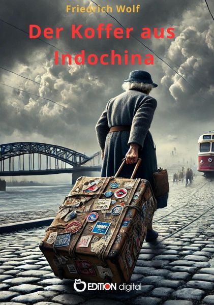Der Koffer aus Indochina (eBook, PDF)