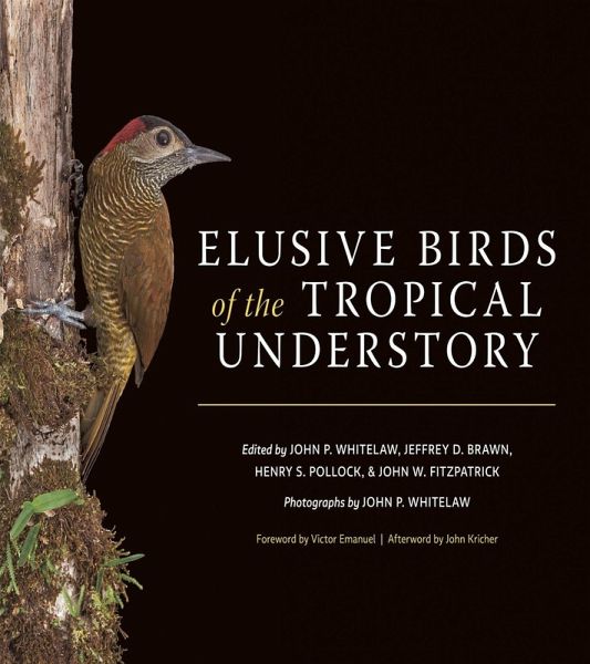 Elusive Birds of the Tropical Understory Elusive Birds of the Tropical Understory