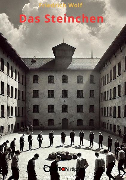 Das Steinchen (eBook, ePUB)