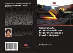 Communauté professionnelle des forgerons tsiganes à Plovdiv, Bulgarie Communauté professionnelle des forgerons tsiganes à Plovdiv, Bulgarie