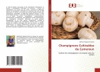 Champignons Cultivables du Cameroun