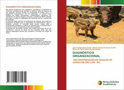 Cover DIAGNÓSTICO ORGANIZACIONAL