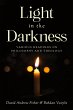 Light in the Darkness - Bild 1