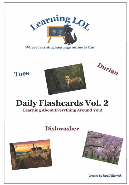 Daily Flashcards Vol. 2 Daily Flashcards Vol. 2
