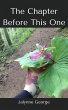 The Chapter Before This One - Bild 1