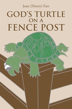 Cover God's Turtle on a Fence Post