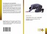 THE IDOLS OF 21ST CENTURY - Bild 1