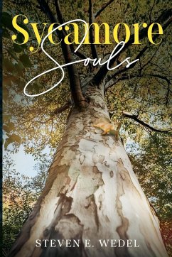 Cover Sycamore Souls