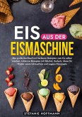 Eis aus der Eismaschine Eis aus der Eismaschine