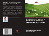 Détection des lésions à l'aide de la structure segmentée de la rétine Détection des lésions à l'aide de la structure segmentée de la rétine