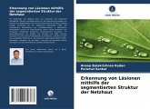 Erkennung von Läsionen mithilfe der segmentierten Struktur der Netzhaut Erkennung von Läsionen mithilfe der segmentierten Struktur der Netzhaut