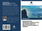 Hydraulisches Modellierungsgerüst für die Kartierung von Überschwemmungen in Städten Hydraulisches Modellierungsgerüst für die Kartierung von Überschwemmungen in Städten