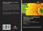 Esplorare l'exofiction in 