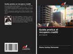 Guida pratica al recupero crediti