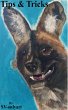 Tips & Tricks (eBook, ePUB) - Bild 1