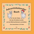 Von der Katze, die das Christkind suchte und als Weihnachtsmann zurückkam
