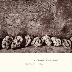 Cover A Gentle Collapsing