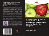 L'industrie de la pomme dans la vallée du Cachemire, en particulier dans le district de Shopian L'industrie de la pomme dans la vallée du Cachemire, en particulier dans le district de Shopian