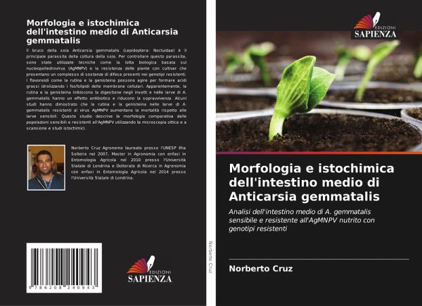 Morfologia e istochimica dell'intestino medio di Anticarsia gemmatalis