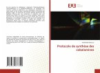 Protocole de synthèse des cobalamines