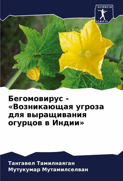 Begomowirus - 'Voznikaüschaq ugroza dlq wyraschiwaniq ogurcow w Indii'