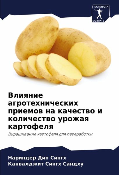 Vliqnie agrotehnicheskih priemow na kachestwo i kolichestwo urozhaq kartofelq