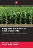 Resposta do milho ao encharcamento Resposta do milho ao encharcamento