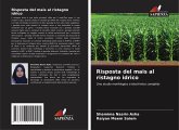 Risposta del mais al ristagno idrico Risposta del mais al ristagno idrico