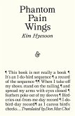 Phantom Pain Wings (eBook, ePUB)