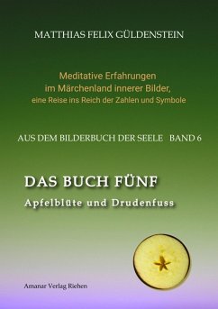 DAS BUCH FÜNF; Vom Geben und Nehmen; Haupt und Gieder als fünfstrahliger Stern; Selbstlose Liebe; Freien und Befreien; Grimm-Märchen Sterntaler; (eBook, ePUB) - Güldenstein, Matthias Felix