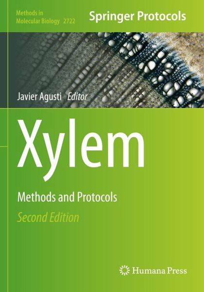 Xylem Xylem