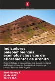Indicadores paleoambientais: exemplos clássicos de afloramentos de arenito Indicadores paleoambientais: exemplos clássicos de afloramentos de arenito