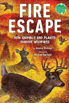 Cover Fire Escape