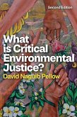 What is Critical Environmental Justice? What is Critical Environmental Justice?