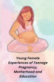 Young Female Experiences of Teenage Pregnancy, Motherhood and Education