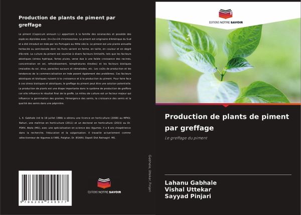 Production de plants de piment par greffage Production de plants de piment par greffage