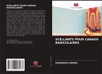 SCELLANTS POUR CANAUX RADICULAIRES SCELLANTS POUR CANAUX RADICULAIRES