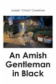 An Amish Gentleman in Black