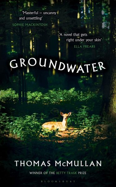 Groundwater