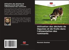 Utilisation des déchets de légumes et de fruits dans l'alimentation des ruminants - Khattab, Mostafa