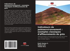 Indicateurs de paléoenvironnement : exemples classiques d'affleurements de grès - Sunny C., Ezeh;A.W., Mode;N.A., Yelwa