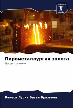 Cover Pirometallurgiq zolota