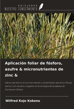 Cover Aplicación foliar de fósforo, azufre & micronutrientes de zinc &