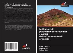 Indicatori di paleoambiente: esempi classici dall'affioramento di arenaria - Sunny C., Ezeh;A.W., Mode;N.A., Yelwa