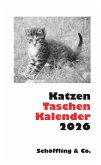 Katzen Taschenkalender 2026