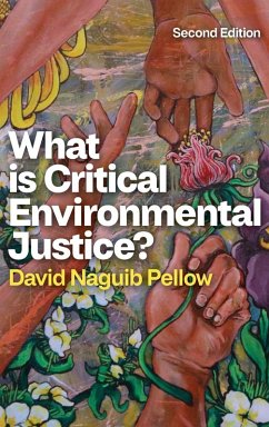 Cover What Is Critical Environmental Justice?