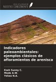 Indicadores paleoambientales: ejemplos clásicos de afloramientos de arenisca