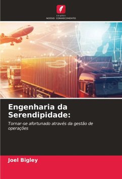 Cover Engenharia da Serendipidade: