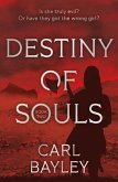 Destiny of Souls Destiny of Souls