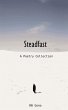Steadfast - Bild 1